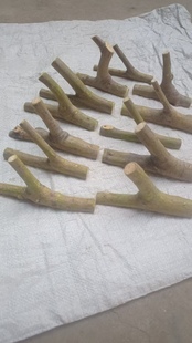 橄榄木树枝挂衣架实木挂钩衣帽钩装饰衣帽架民宿带皮树干树杈