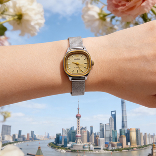 钢带小巧海达年代百搭刻度双色17钻库存原装正品手动机械表女士