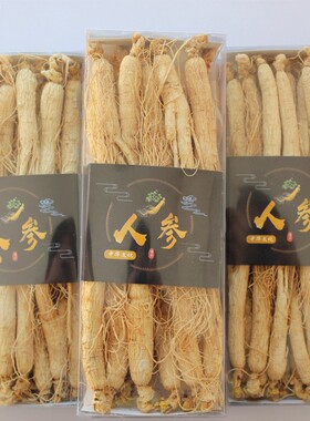 白人参500克40支长白山人参 白参 生晒人参新货干无硫磺年限足