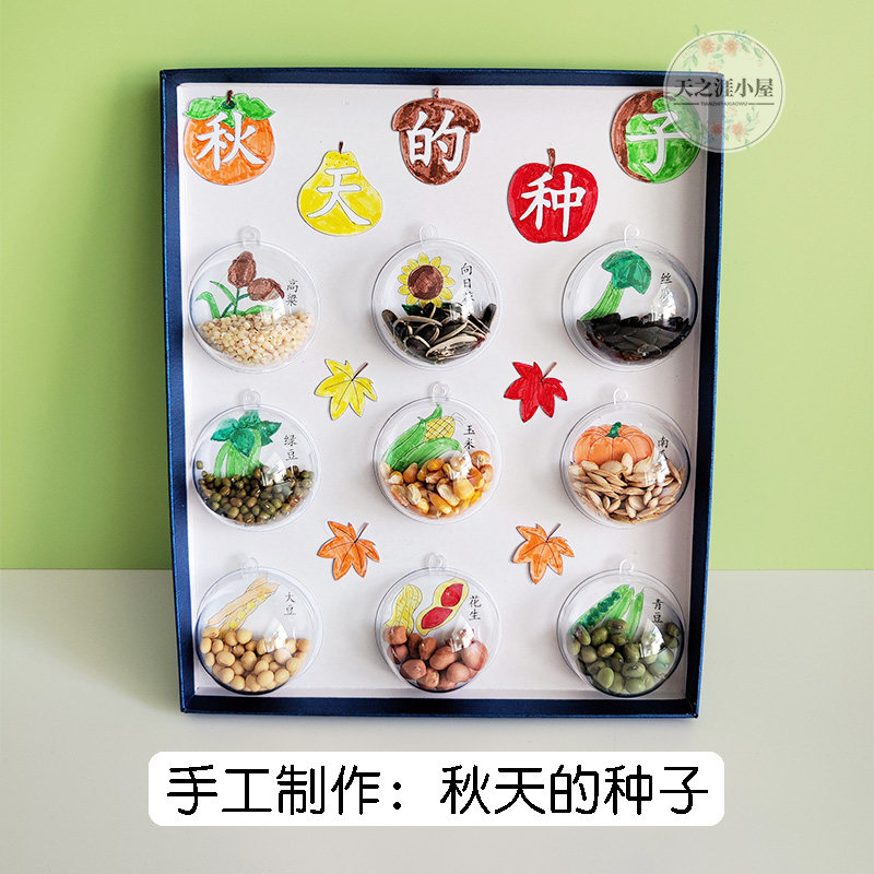 手工课丰收秋天的种子五谷杂粮豆