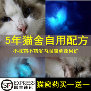 猫舍自用猫癣专用药猫藓药幼猫藓狗癣真菌感染内服药浴营养猫癣药