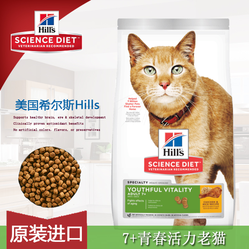 青春活力老猫希尔斯活力老年猫