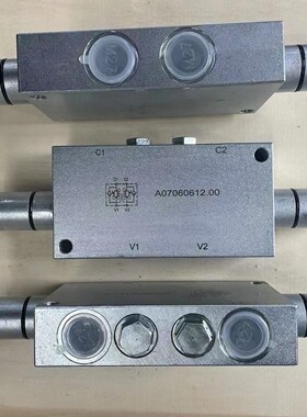 SayanFluid 平衡阀 A07060612.00 油缸平衡阀 锁阀 液压锁 配件