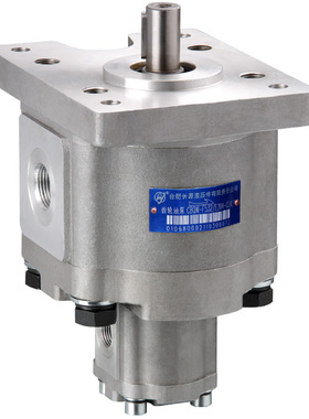 合肥长源液压  双联齿轮油泵  CBQW-F520/E204-CLP  CLX 液压站