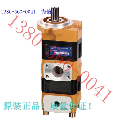 合肥长源原装正品齿轮油泵CBKL-G40/G20-ATΦ，ATΦL假一罚十