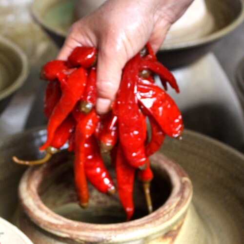 四川泡菜泡椒二荆条商用家用特惠