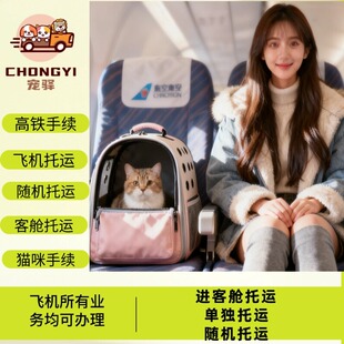 全国空运猫咪宠物托运飞机航空高铁检疫手续宠物进客舱托运疫苗本