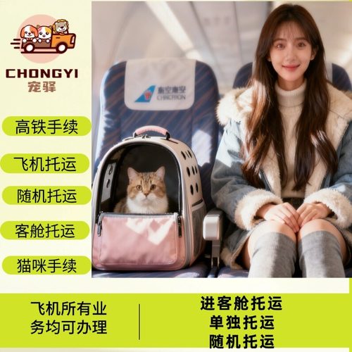 全国空运猫咪宠物托运飞机航空高铁检疫手续宠物进客舱托运疫苗本