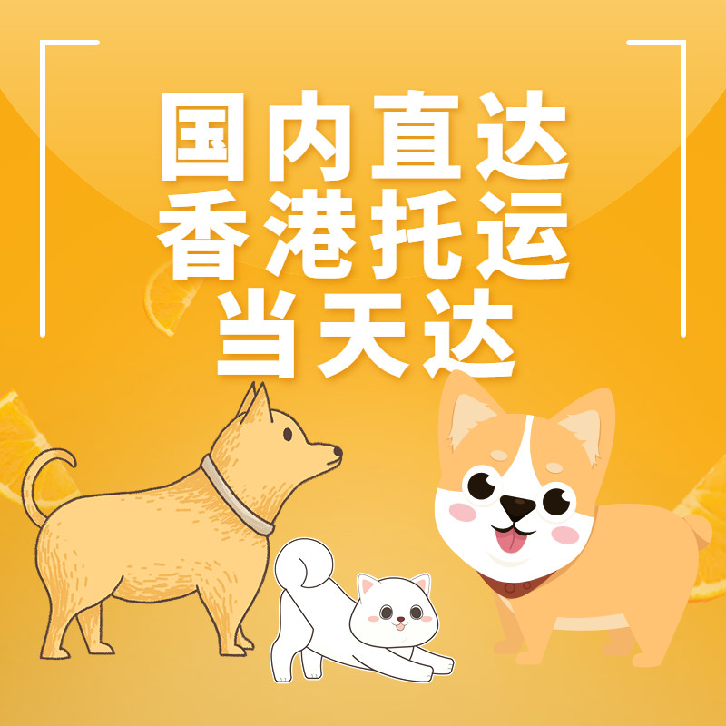 国际国内香港宠物托运服务全国直宠物托运