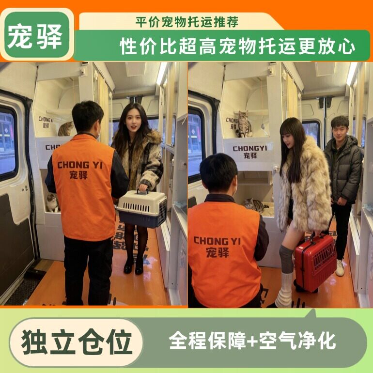 全国宠物托运运输猫咪邮寄专车运宠物托运
