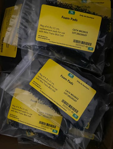 Bio-Rad伯乐170-3933凝胶转印海绵垫1703933FoamPads替代品WG3933