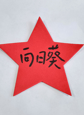 10厘米可写字红色五角星 儿童奖励星星海绵泡沫装饰贴纸名字贴