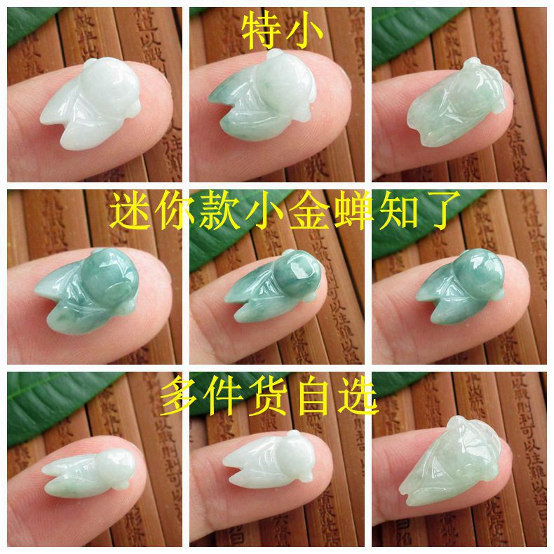 保真小号精工金蝉知了小吊坠玉蝉自选21698缅甸玉天然A货翡翠H69
