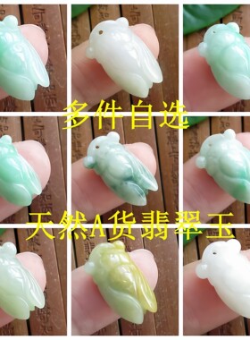 保真小号款金蝉知了小吊坠玉蝉自选21719缅甸玉天然A货翡翠玉H69