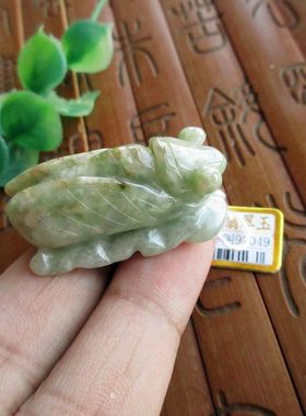 92049玉琳阁翡翠实物拍图缅甸玉天然A货翡翠知了金蝉吊坠一鸣惊人