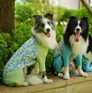 日本速干泳衣防掉毛不粘毛凉感户外四脚裤 宠物万能衣防尘衣