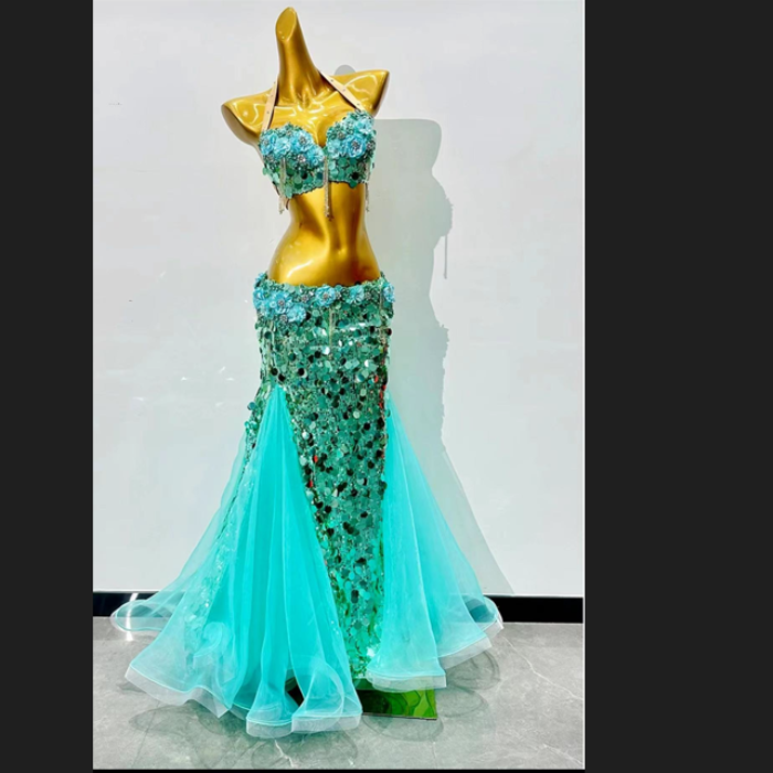 舞姿翼肚皮舞表演出服装女2024新款镶钻文胸长裙套装东方舞WZY053