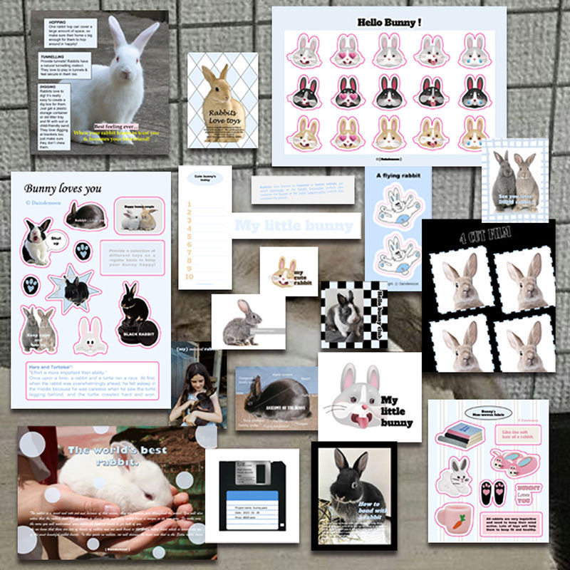 韩国dain de moon贴纸包蓝兔子系贴纸手账装饰ins风摆拍道具卡片