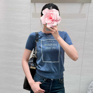 26新款 特惠259 恶之花印花刺绣 短袖 不退不换 针织衫 原409