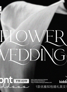 1款优雅奢华时尚杂志婚礼结婚海报标题衬线Logo艺术ai ps英文字体