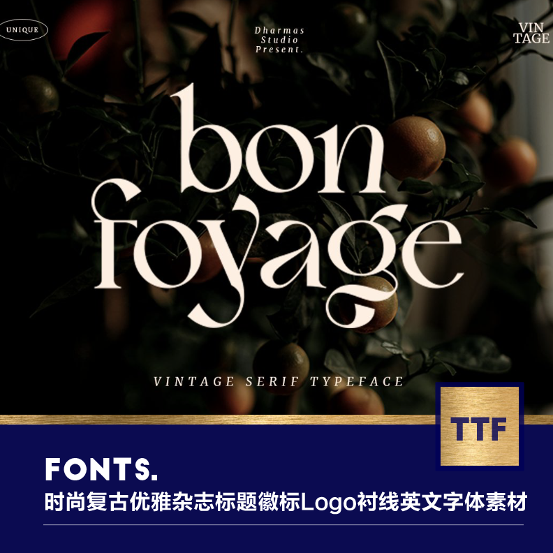 时尚复古优雅杂志标题徽标logo衬线婚礼英文font海报字体设计素材