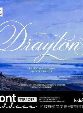 复古优雅经典海报Logo连笔花体手写ps ai procreate word英文字体