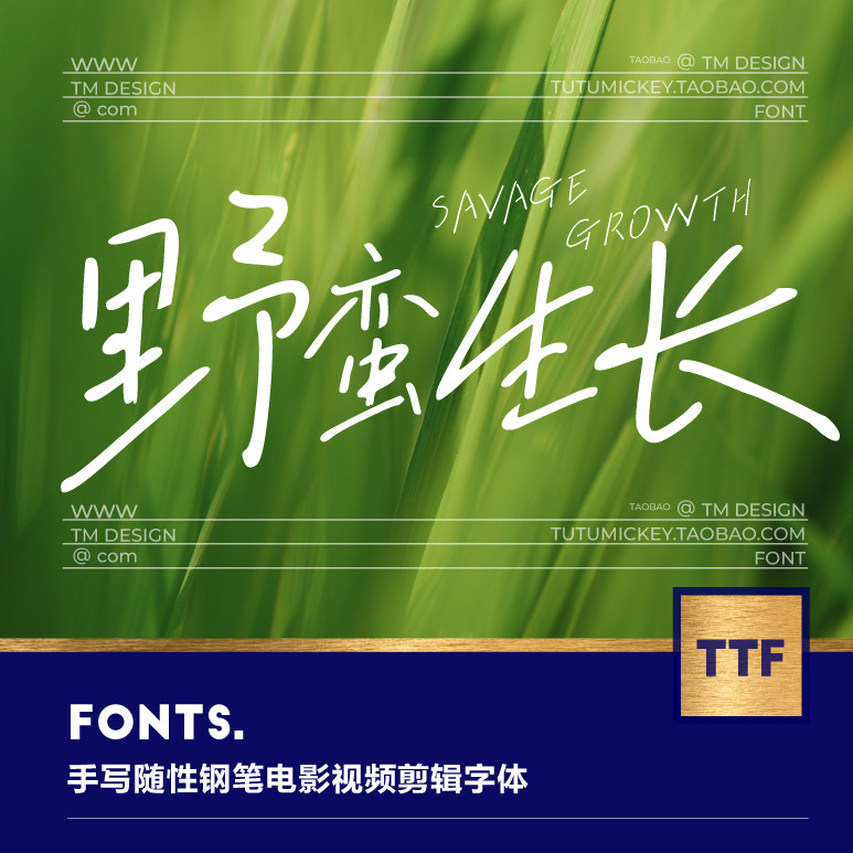 1款随性大气手写钢笔中文电影视频字体procreate ps pr电脑字体包怎么看?