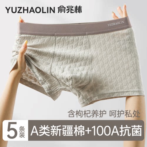 俞兆林100A抗菌枸杞人参裆内裤