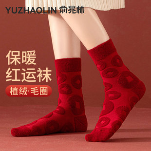 本命年大红袜子女冬季 加绒保暖中筒袜新年女士加厚鸿运毛圈长袜 款