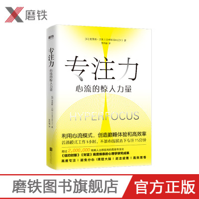 专注力 心流的惊人力量 克里斯·贝利著精英人士都在用的高效专注法 李开复推荐 励志