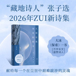 人间有我用坏的时光 藏地诗人张子选献给每一个在尘世中艰难跋涉的灵魂 现当代文学诗集 大冰保重一书万字长文盛赞 磨铁图书正版