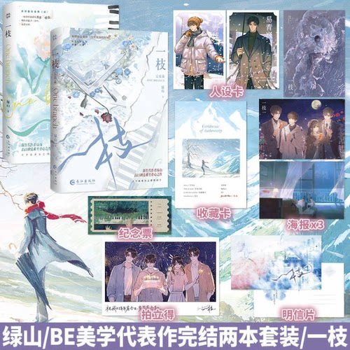 一枝套装（全2册任选）绿山高口碑BE美学代表作青春小说实体书 温柔年上易青巍vs纯粹美好宋野枝 青春文学 酷威FX