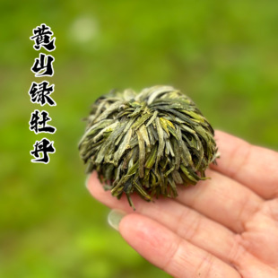 26年新茶 黄山绿牡丹毛峰绿茶 浓香型手工制做