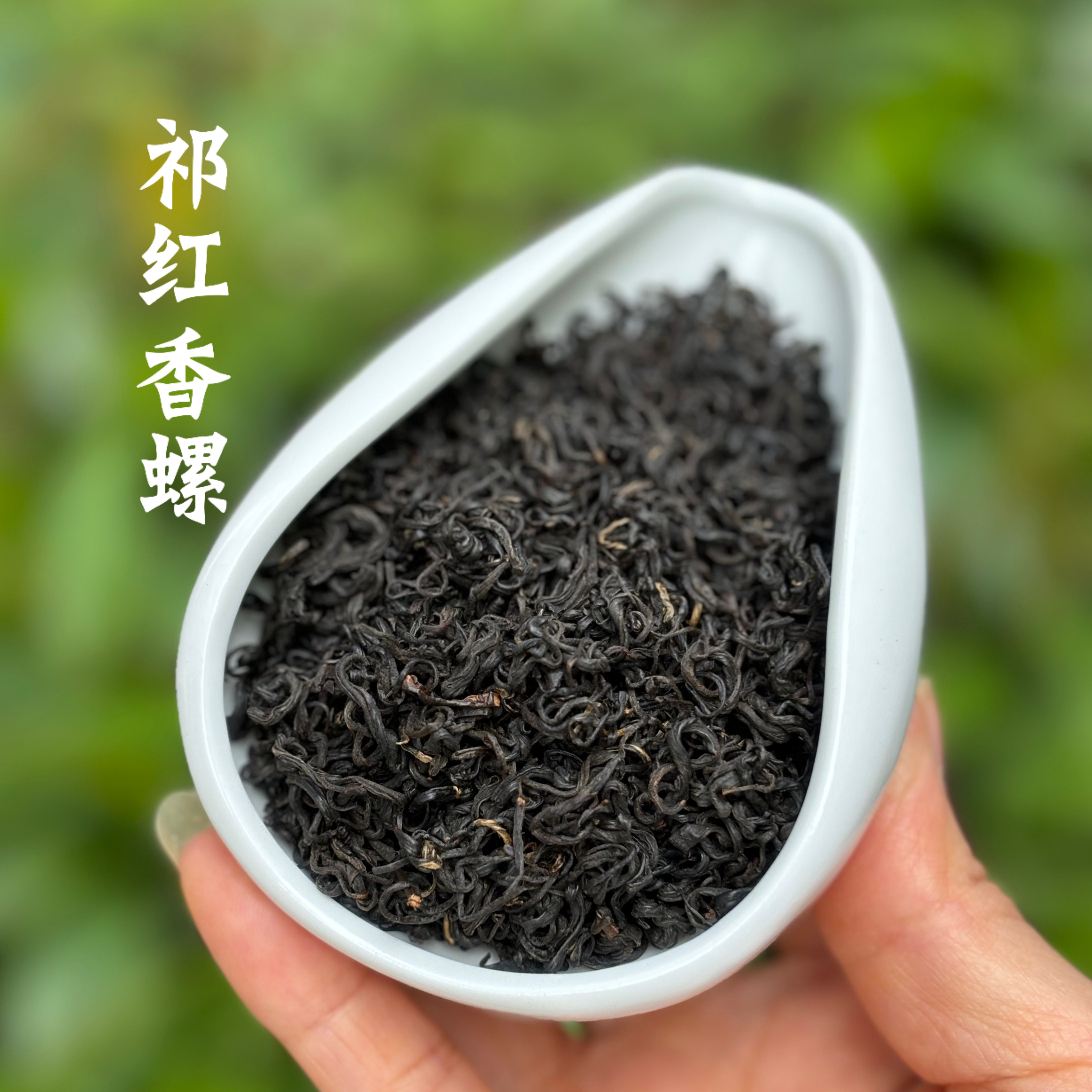 安徽特产 雨后香螺 祁门红茶 浓香醇厚 历口产区 老茶客口粮茶