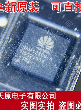 NAM12S06-A 原装正品100% 现货直拍 量大价优 LGA