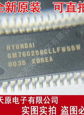 GM76C256CLLFW55W   原装正品100% 现货直拍 量大价优 SOP28