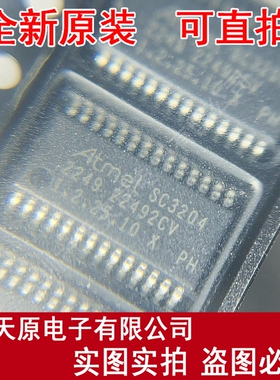 AT97SC3204-X2A1A-10 原装正品100% 现货直拍 量大价优 TSSOP28