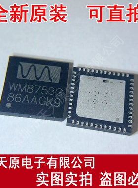 WM8753GEFL
 原装正品100% 现货直拍 量大价优 QFN48