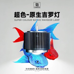 马印超色原生吉罗灯溪流缸吉罗鱼专用灯增艳灯全光谱led爆藻筒灯