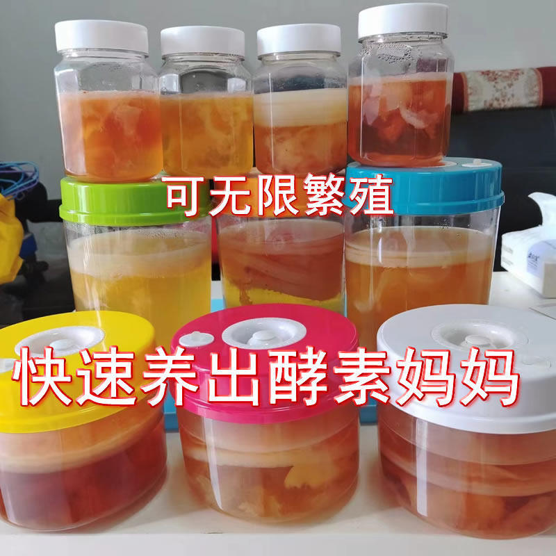 快速养出酵素妈妈自制能量果浆能量膏万用滴非红茶菌康普茶醋蛾子
