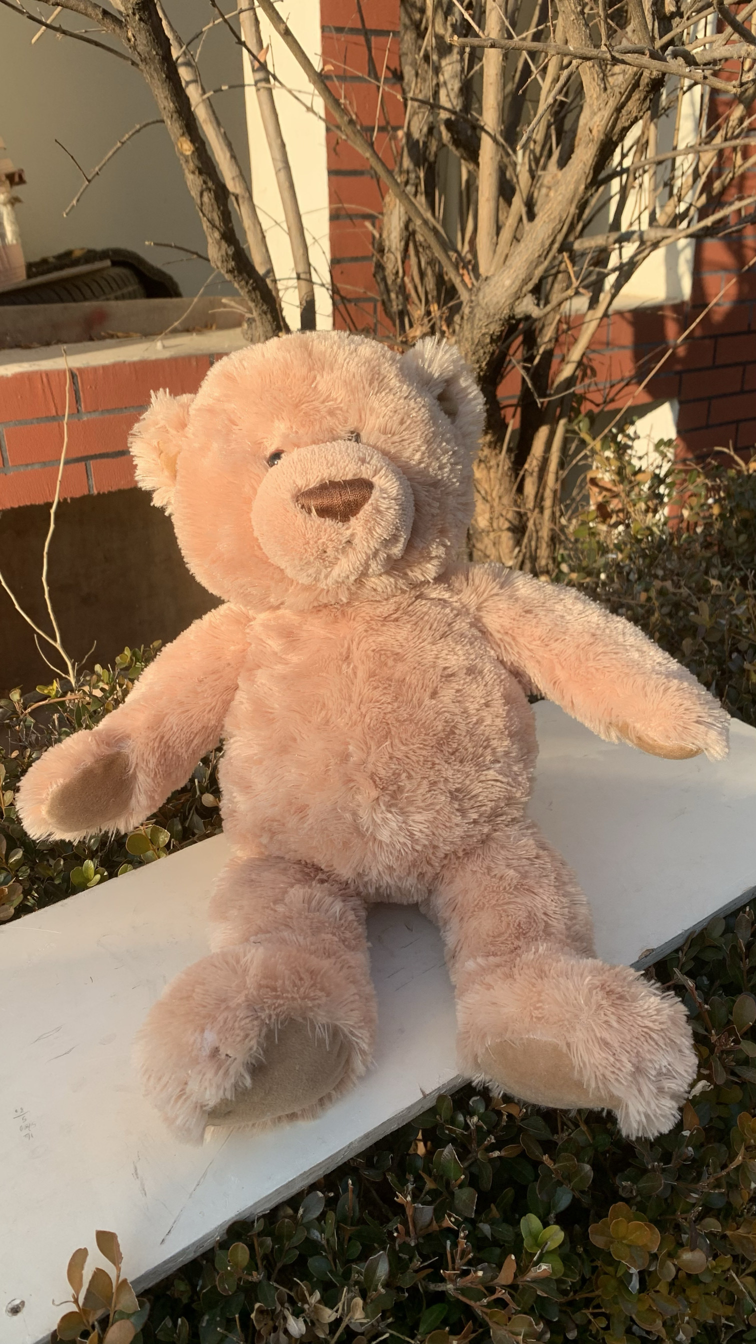 孤品原单美国GUND老款可爱大只泰迪熊公仔正版毛绒玩具高53CM礼物