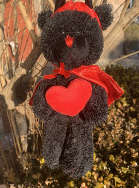 250115外贸出口原单老款红色斗篷斗牛小熊公仔正版毛绒玩具高25CM