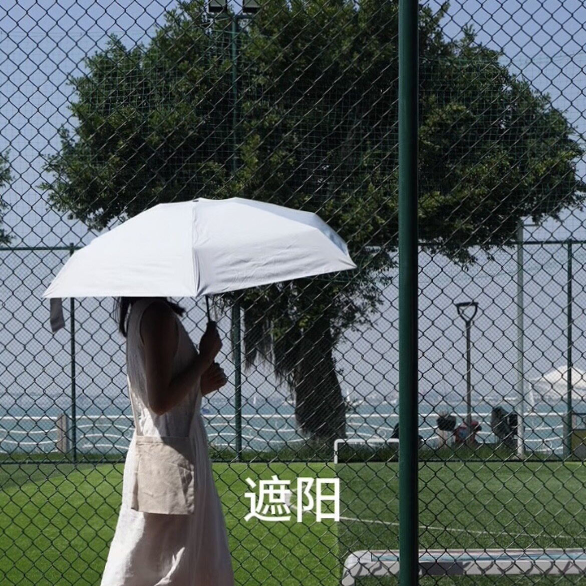 Airswift轻燕 女士超轻碳纤防晒伞 五折黑胶晴雨伞小巧轻便直径大
