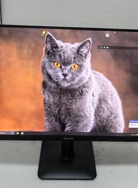 飞利浦  24E2N1100  23.8英寸iPS屏100Hz 节能低蓝光认证，99新