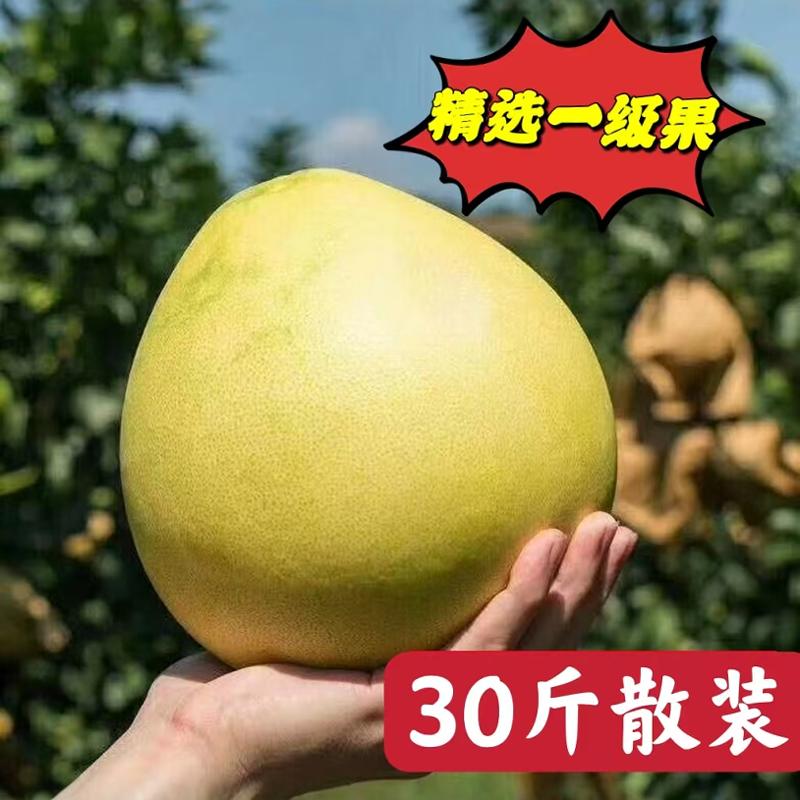 正宗梅州大埔红心蜜柚新鲜时令水果老树红柚果园直销30斤装中秋果