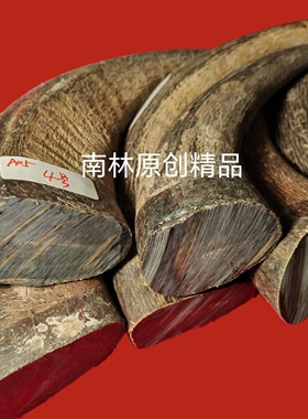 M01黑水牛角实心无裂原材料弹弓刀柄刀鞘切片手把件扳指镇纸吊牌