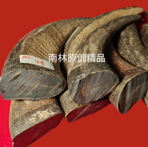 M01黑水牛角实心无裂原材料弹弓刀柄刀鞘切片手把件扳指镇纸吊牌