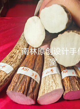 M81超精品鹿角尖实心白心高密度原材料雕刻摆件刀柄弹弓把柄佛珠