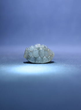 和田玉洒金皮青花籽料龟甲手牌