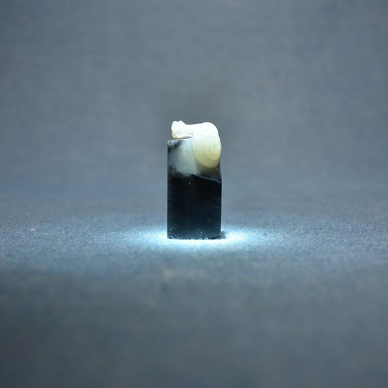 青花籽料蜗牛文房雅玩印章把件